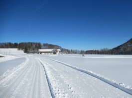 auf der Loipe Hintergschwendt