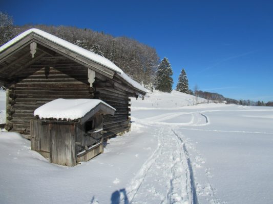 auf der Loipe Hintergschwendt