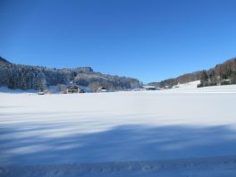 auf der Loipe Hintergschwendt