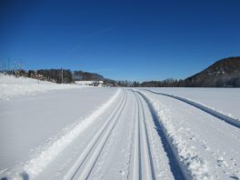 auf der Loipe Hintergschwendt
