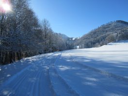 auf der Loipe Hintergschwendt