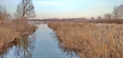 IMG_20220101_161512_1