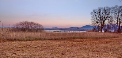 IMG_20220101_162927_1