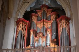 Marx Bedford-Stohm (28)