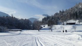 Winter Oberaudorf (3)