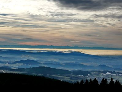 be2b8703-2604-45d8-abd1-e7eeb8277bdb