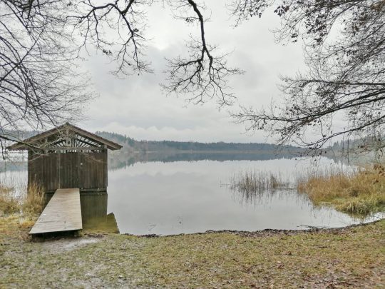 cac84bea-0fc0-411d-a372-f9fcef84263f