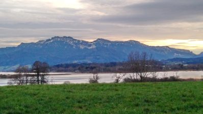 d2128930-ce2b-45f2-a12e-557df69e27de