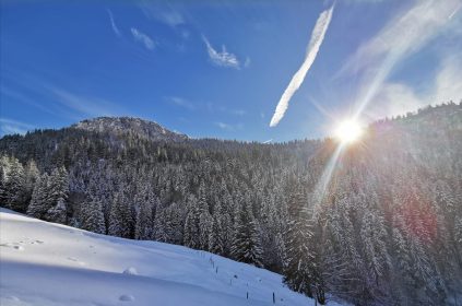 f1cc897b-7e99-47a6-af03-2a55c4069c7d