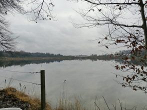 f26ac2ef-75d4-43ff-b3be-34fe2242d25d