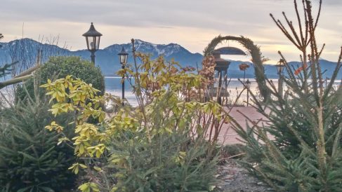 f5d86074-6aa4-444e-a33e-c19432e1d2bf