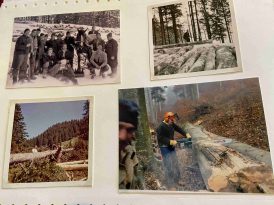 kl-Waldarbeiten-Erinnerungen