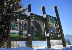kl-inzell winter panorama moor erlebnispfad start moorexpedition_sn