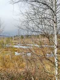 033c50f7-fa0c-4a69-a948-76a017a6749c