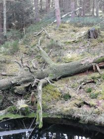 0ebaecb8-b6fa-4574-858b-67d7a16ae505