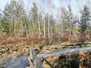 1887ed35-5193-45c2-865a-a88b7800c3ad