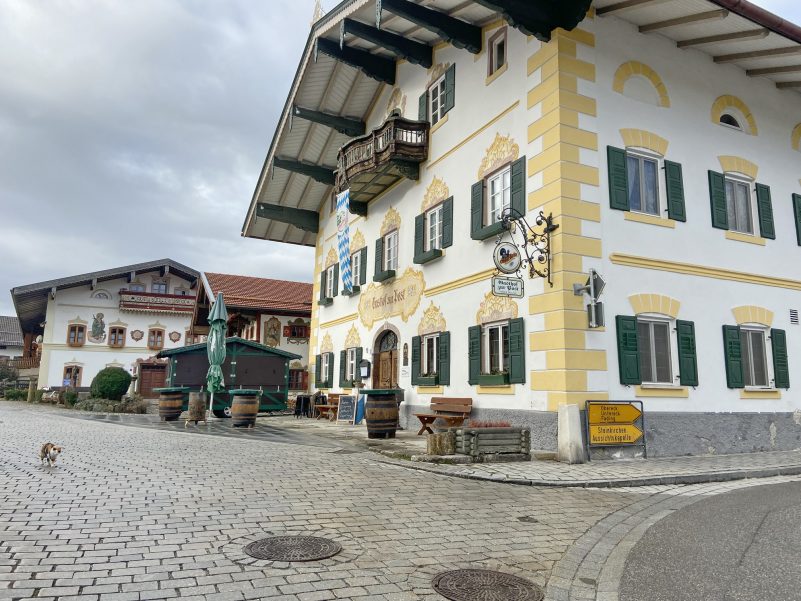 1Dorfkatze 2 mit Post-Wirt