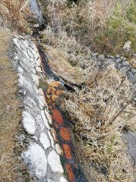 43f9bb5f-3b28-4674-932b-b4c15c5dc138