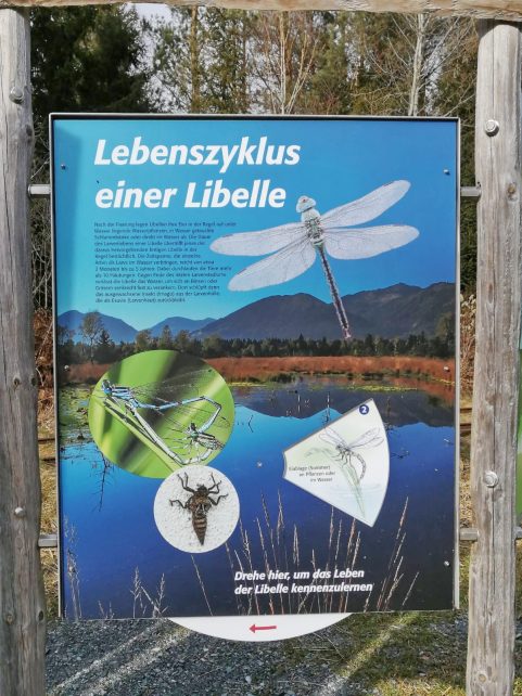 4934025b-598f-4120-9852-f9e88ff04487