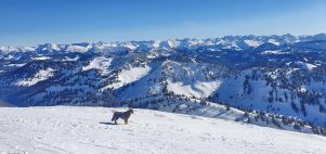 5108025a-1a0f-4bd3-9726-eafe9ffa47ca