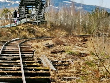 5f24ca98-2d5d-4d95-9c5d-703916fe40be