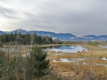 89ad244d-8dd4-4ea3-9491-0566ca45f364