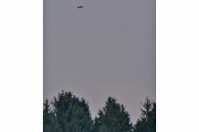 AktNatBeo-220204-ja-04_Modelflieger_Gaense_aufscheuchend-1140pix