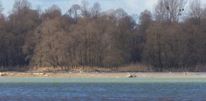 AktNatBeo-220210-ah-01-HB_bei_starkenm_Wind