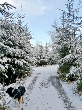 Bei Neukirchen - Tschirch 2