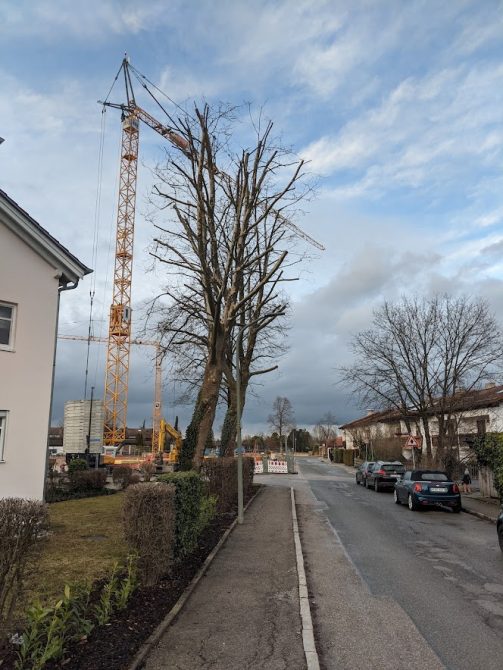 Baugebiet Prien-Birkenweg