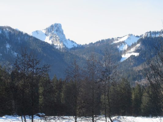 Auf der Loipe zwischen Chiemgau-Arena und den Dreiseen