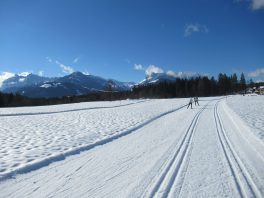 Langlauffreuden im Kaiserwinkl