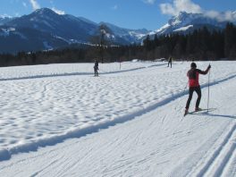 Langlauffreuden im Kaiserwinkl