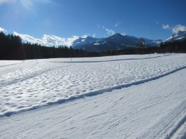 Langlauffreuden im Kaiserwinkl