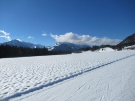 Langlauffreuden im Kaiserwinkl