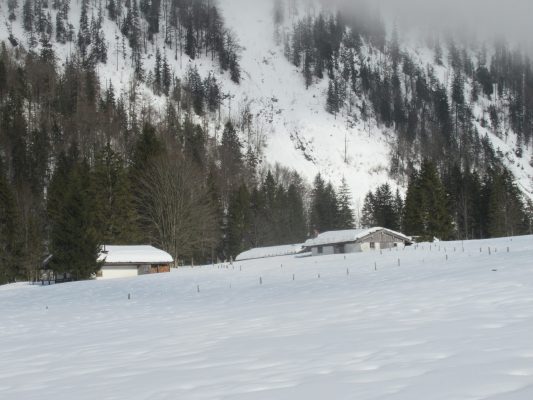Auf der Loipe zwischen Chiemgau-Arena und Dreiseen-Gebiet