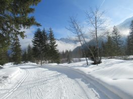 Auf der Loipe zwischen Chiemgau-Arena und Dreiseen-Gebiet