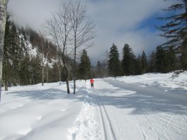 Auf der Loipe zwischen Chiemgau-Arena und Dreiseen-Gebiet