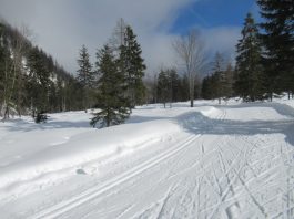 Auf der Loipe zwischen Chiemgau-Arena und Dreiseen-Gebiet