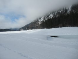 Auf der Loipe zwischen Chiemgau-Arena und Dreiseen-Gebiet