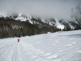 Auf der Loipe zwischen Chiemgau-Arena und Dreiseen-Gebiet