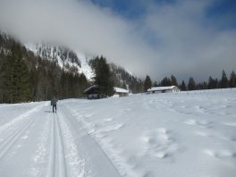 Auf der Loipe zwischen Chiemgau-Arena und Dreiseen-Gebiet