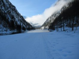 Auf der Loipe zwischen Chiemgau-Arena und Dreiseen-Gebiet