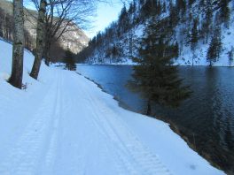Auf der Loipe zwischen Chiemgau-Arena und Dreiseen-Gebiet