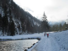 Auf der Loipe zwischen Chiemgau-Arena und Dreiseen-Gebiet