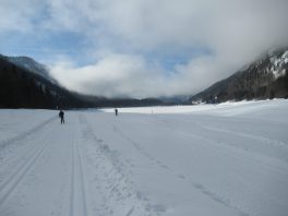 Auf der Loipe zwischen Chiemgau-Arena und Dreiseen-Gebiet