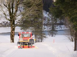 Auf der Loipe zwischen Chiemgau-Arena und Dreiseen-Gebiet