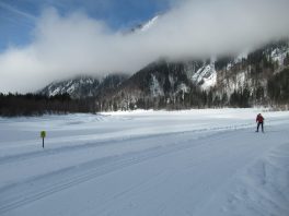 Auf der Loipe zwischen Chiemgau-Arena und Dreiseen-Gebiet