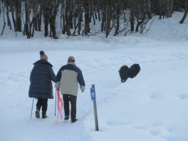 Auf der Loipe zwischen Chiemgau-Arena und Dreiseen-Gebiet