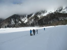 Auf der Loipe zwischen Chiemgau-Arena und Dreiseen-Gebiet